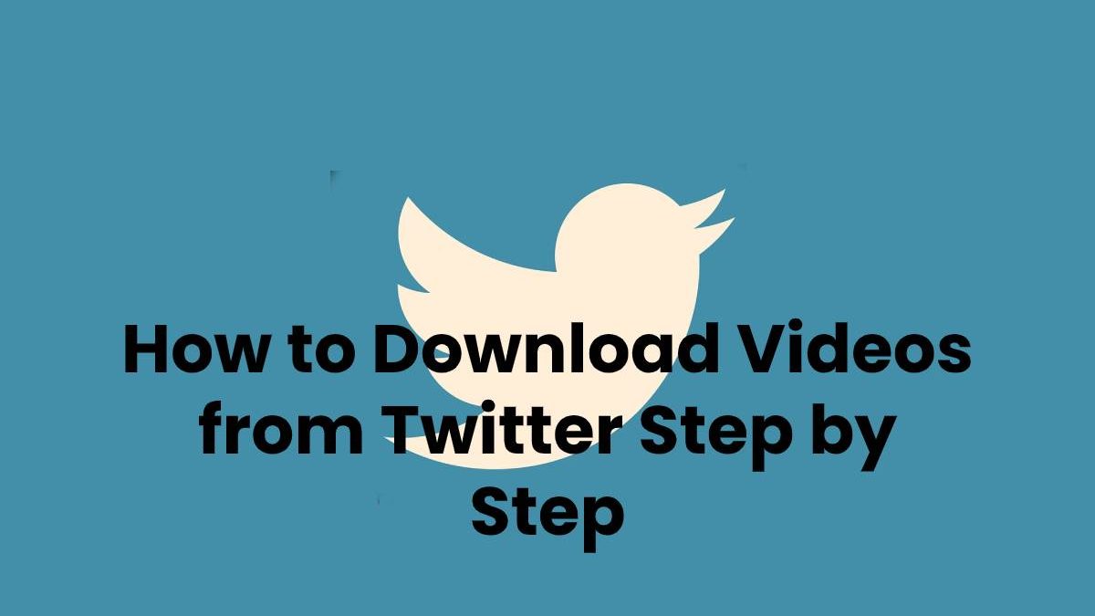 How to Download Videos from Twitter Step by Step
