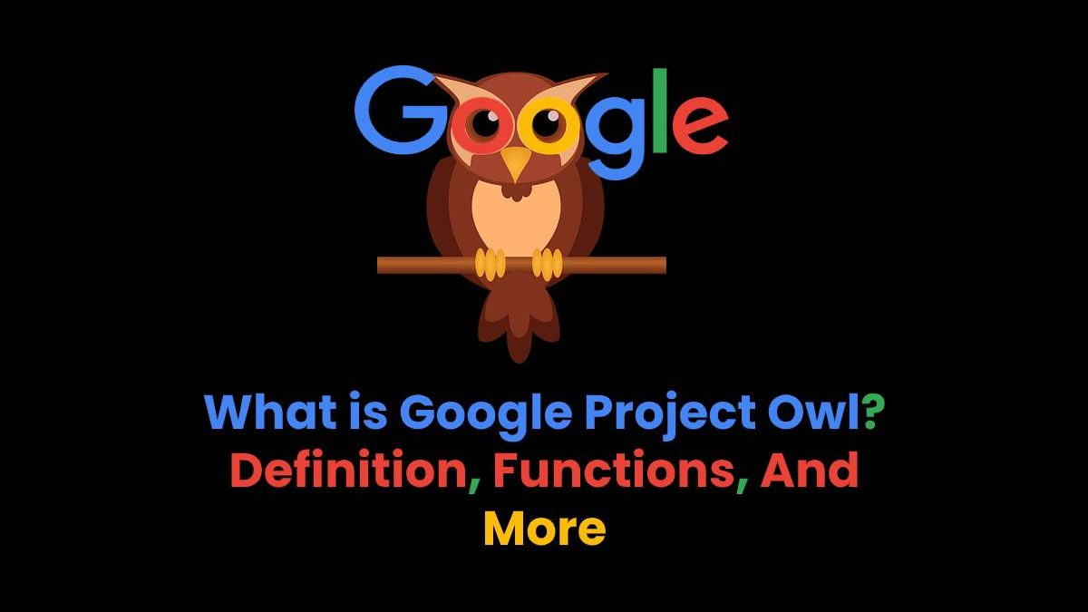 What is Google Project Owl? – Definition, Functions, And More (2023)